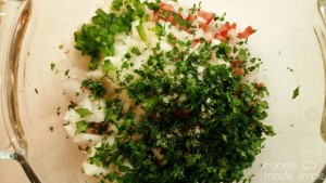 Pico de Gallo 1
